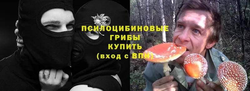 Галлюциногенные грибы MAGIC MUSHROOMS  купить наркоту  Волгореченск 